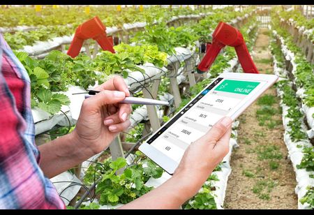 Farmers' Market Turns Online with KrishiDirect for Convenience of People
